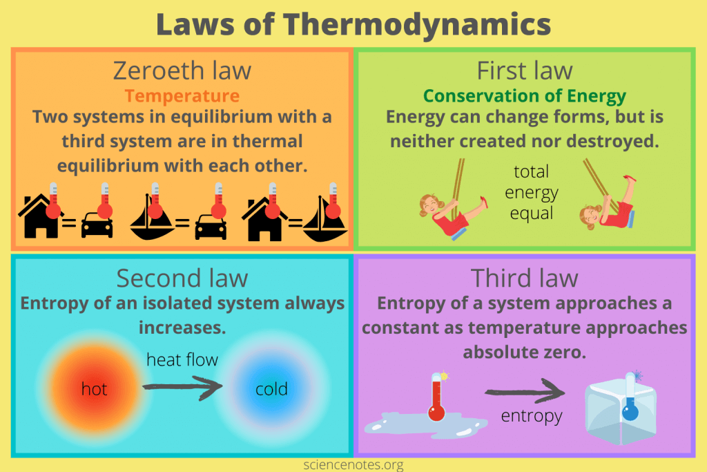 Picture by: Science Notes and Projects