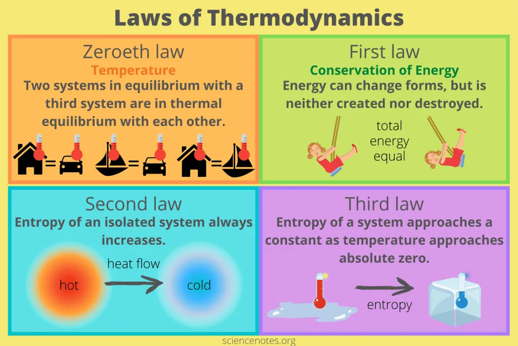 Picture by: Science Notes and Projects